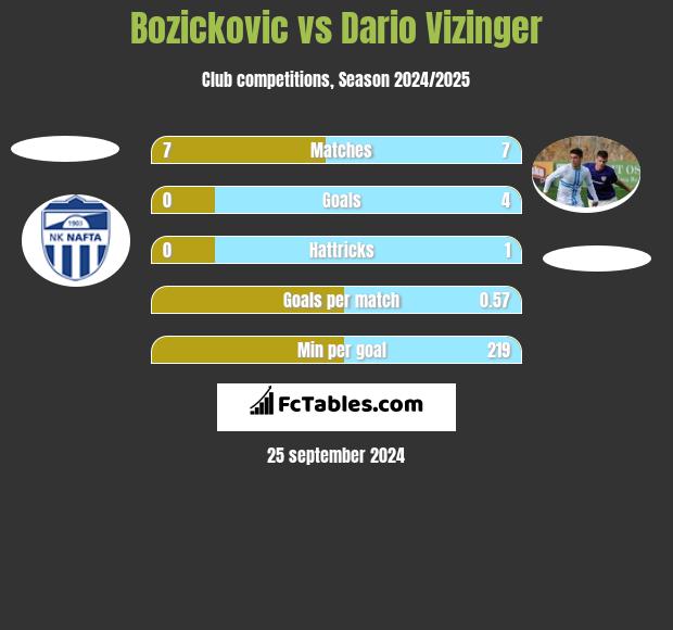 Bozickovic vs Dario Vizinger h2h player stats