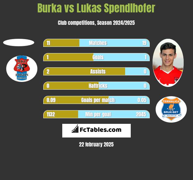 Burka vs Lukas Spendlhofer h2h player stats