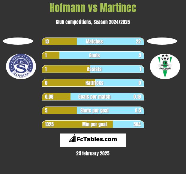 Hofmann vs Martinec h2h player stats