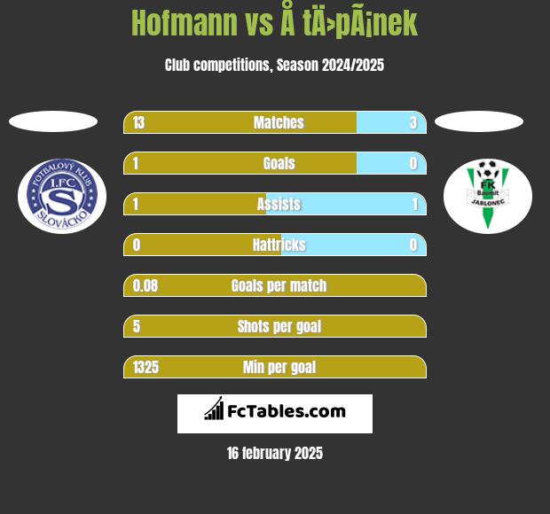 Hofmann vs Å tÄ›pÃ¡nek h2h player stats