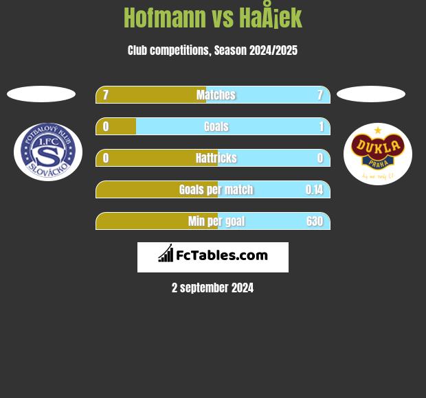 Hofmann vs HaÅ¡ek h2h player stats