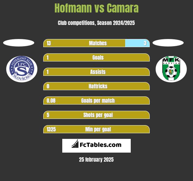 Hofmann vs Camara h2h player stats