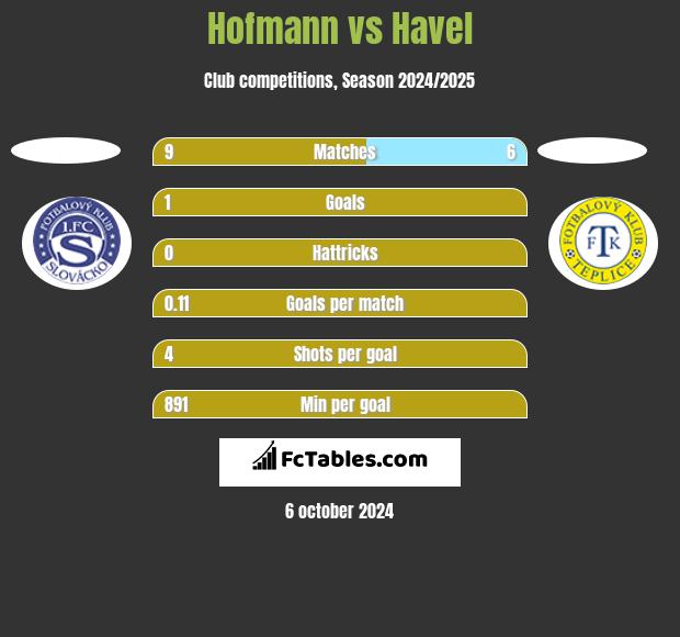 Hofmann vs Havel h2h player stats