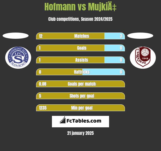 Hofmann vs MujkiÄ‡ h2h player stats