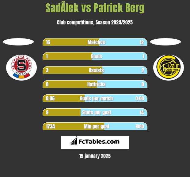 SadÃ­lek vs Patrick Berg h2h player stats