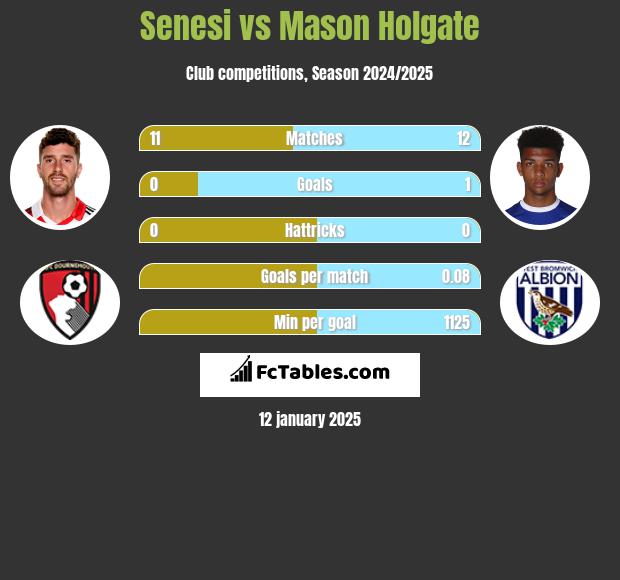 Senesi vs Mason Holgate h2h player stats