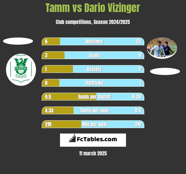 Tamm vs Dario Vizinger h2h player stats