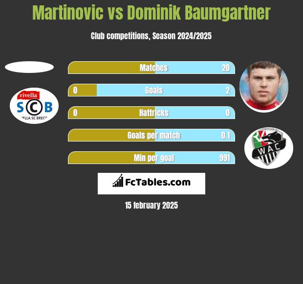 Martinovic vs Dominik Baumgartner h2h player stats