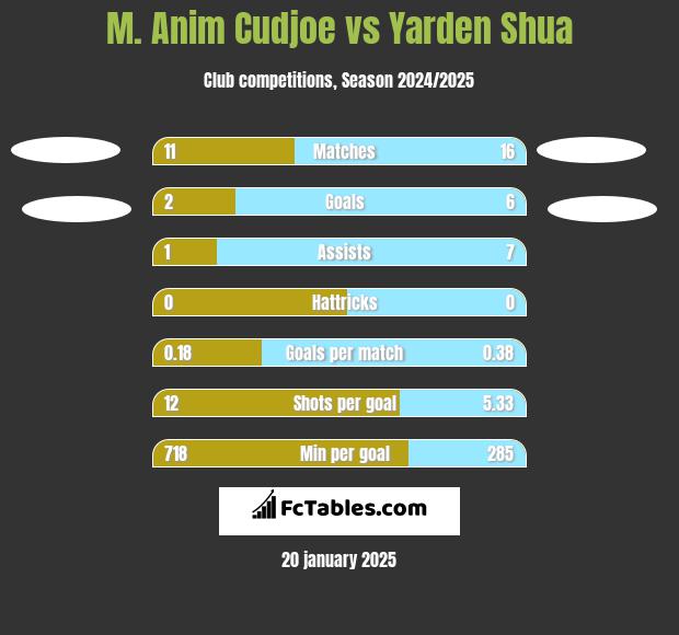 M. Anim Cudjoe vs Yarden Shua h2h player stats