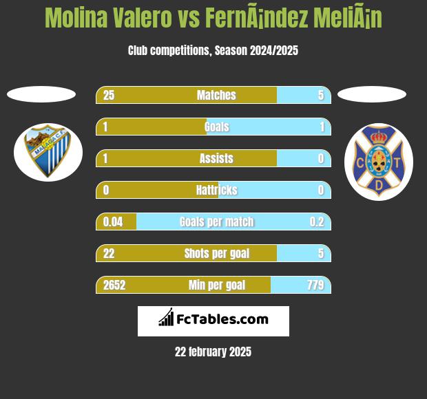 Molina Valero vs FernÃ¡ndez MeliÃ¡n h2h player stats