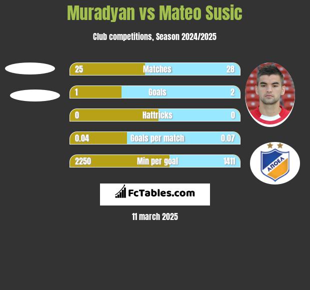 Muradyan vs Mateo Susic h2h player stats