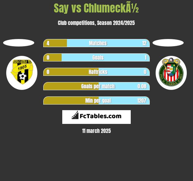 Say vs ChlumeckÃ½ h2h player stats