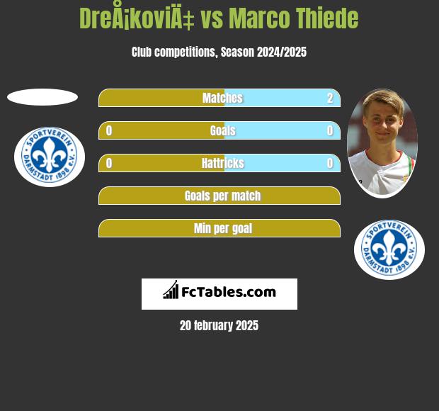 DreÅ¡koviÄ‡ vs Marco Thiede h2h player stats