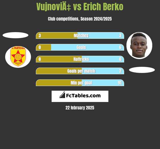 VujnoviÄ‡ vs Erich Berko h2h player stats