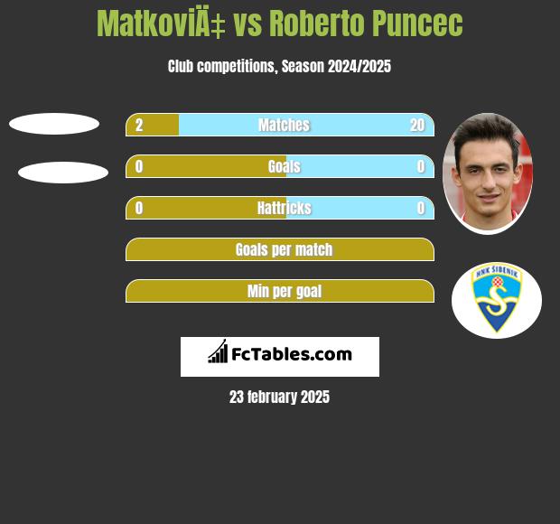 MatkoviÄ‡ vs Roberto Puncec h2h player stats