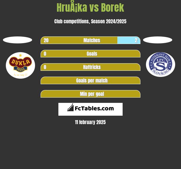 HruÅ¡ka vs Borek h2h player stats