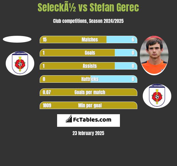 SeleckÃ½ vs Stefan Gerec h2h player stats