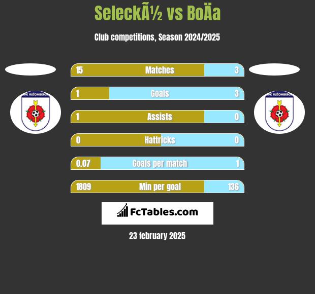 SeleckÃ½ vs BoÄa h2h player stats