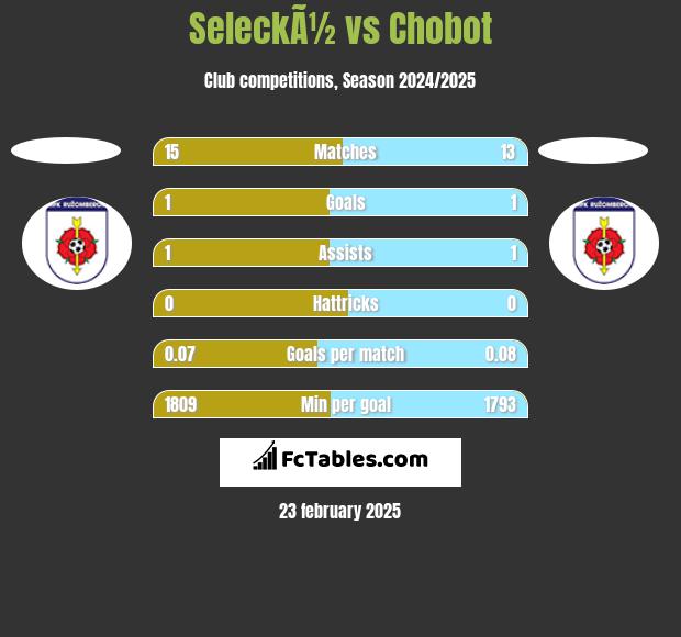 SeleckÃ½ vs Chobot h2h player stats