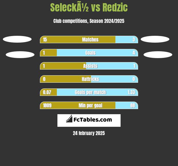 SeleckÃ½ vs Redzic h2h player stats