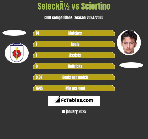 SeleckÃ½ vs Sciortino h2h player stats