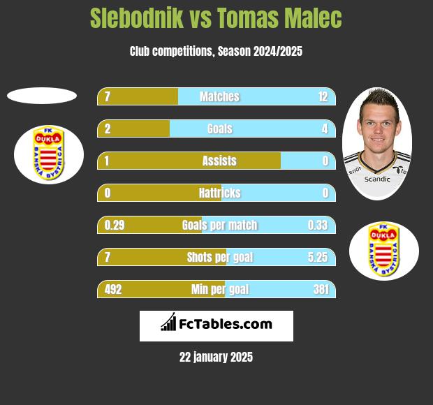 Slebodnik vs Tomas Malec h2h player stats