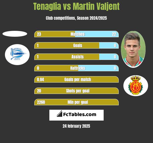 Tenaglia vs Martin Valjent h2h player stats