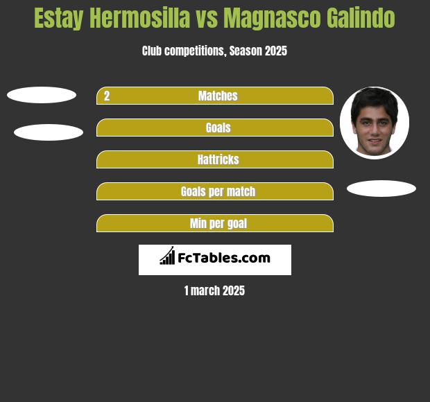 Estay Hermosilla vs Magnasco Galindo h2h player stats