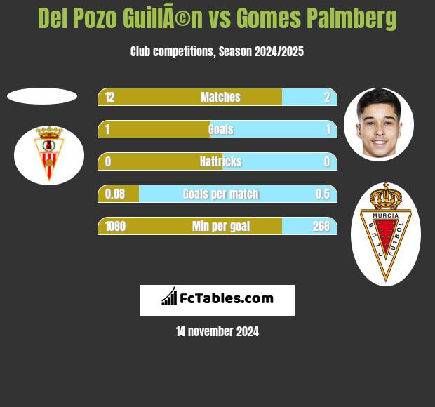 Del Pozo GuillÃ©n vs Gomes Palmberg h2h player stats