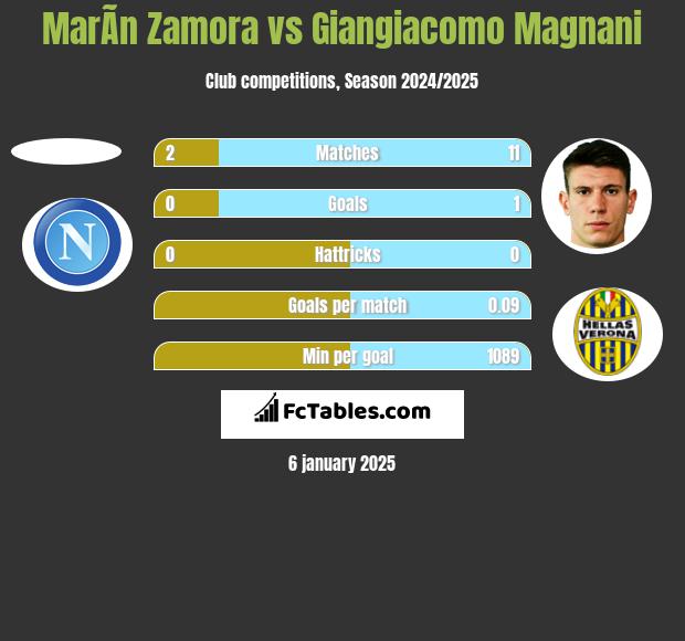 MarÃ­n Zamora vs Giangiacomo Magnani h2h player stats