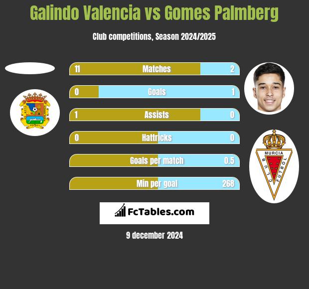 Galindo Valencia vs Gomes Palmberg h2h player stats