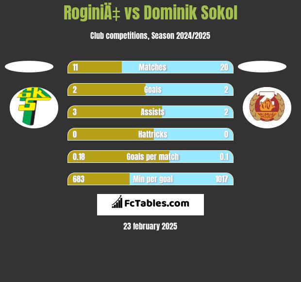 RoginiÄ‡ vs Dominik Sokol h2h player stats