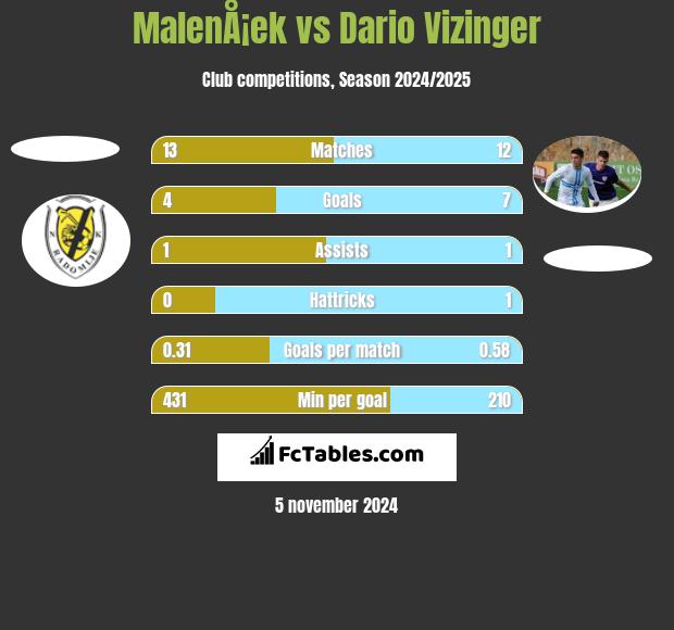 MalenÅ¡ek vs Dario Vizinger h2h player stats