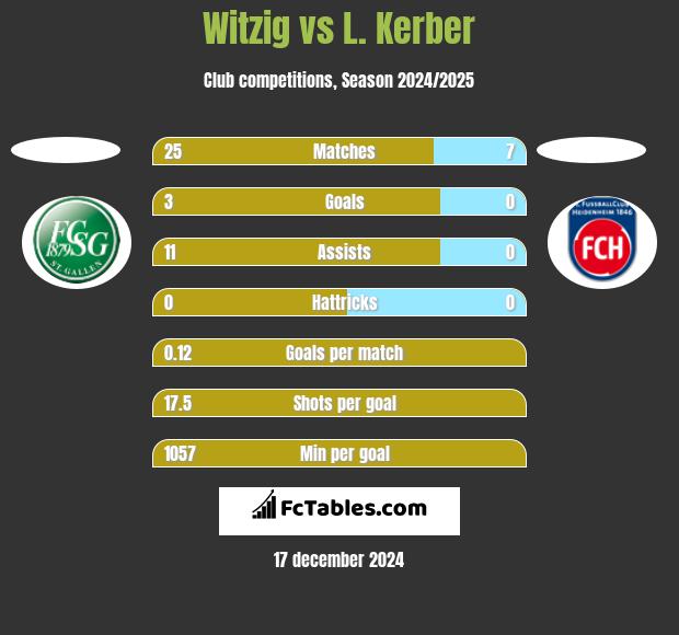 Witzig vs L. Kerber h2h player stats