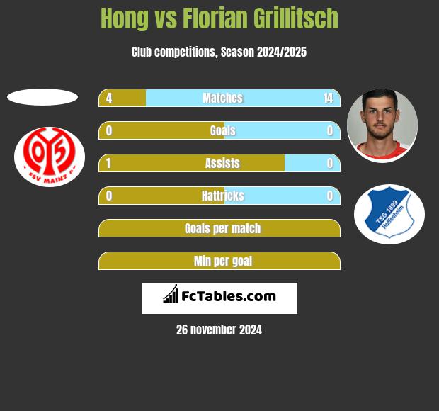 Hong vs Florian Grillitsch h2h player stats