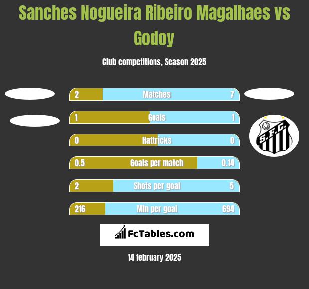 Sanches Nogueira Ribeiro Magalhaes vs Godoy h2h player stats