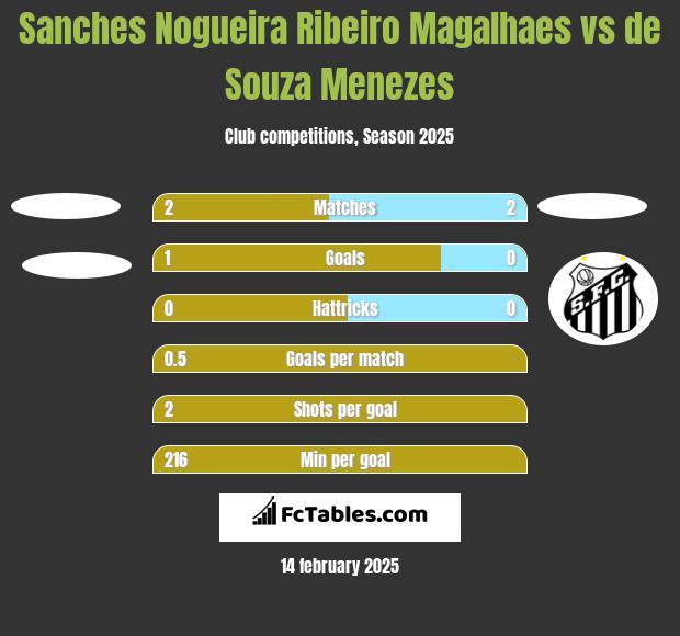 Sanches Nogueira Ribeiro Magalhaes vs de Souza Menezes h2h player stats