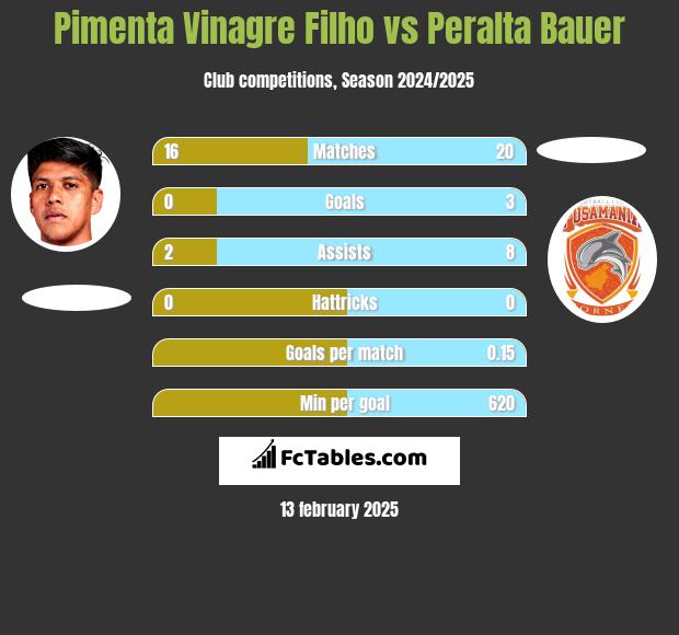 Pimenta Vinagre Filho vs Peralta Bauer h2h player stats