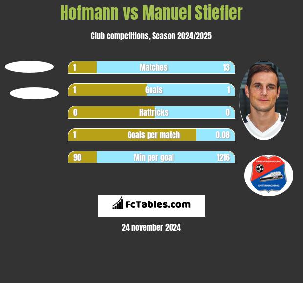 Hofmann vs Manuel Stiefler h2h player stats