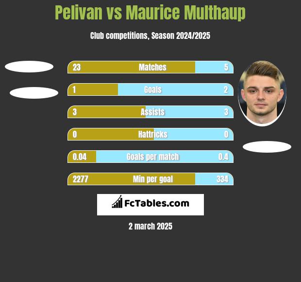 Pelivan vs Maurice Multhaup h2h player stats