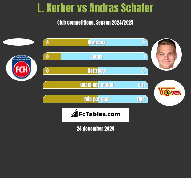 L. Kerber vs Andras Schafer h2h player stats