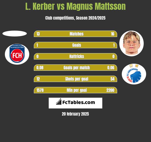 L. Kerber vs Magnus Mattsson h2h player stats