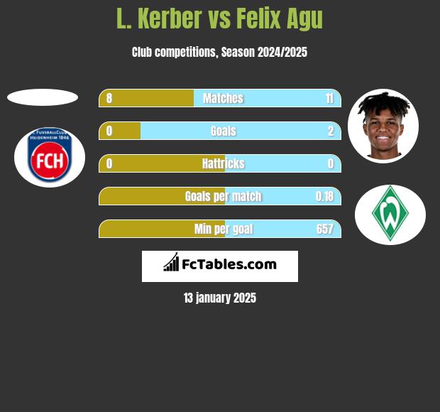 L. Kerber vs Felix Agu h2h player stats