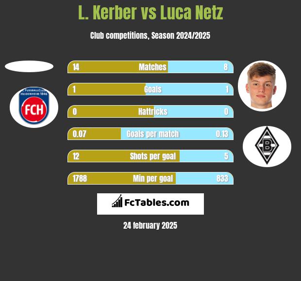 L. Kerber vs Luca Netz h2h player stats