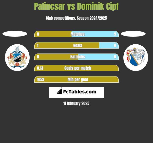 Palincsar vs Dominik Cipf h2h player stats