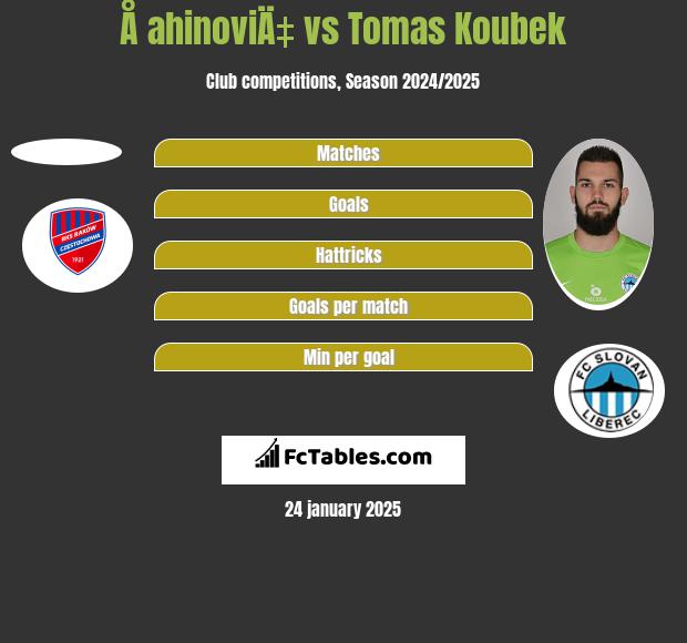 Å ahinoviÄ‡ vs Tomas Koubek h2h player stats