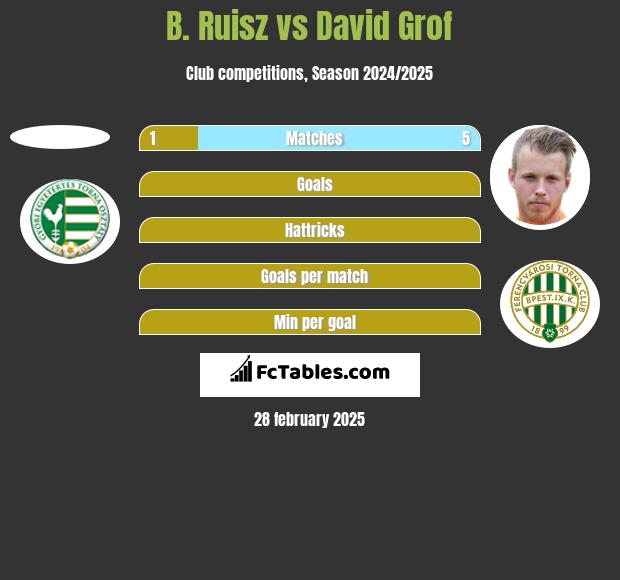 B. Ruisz vs David Grof h2h player stats