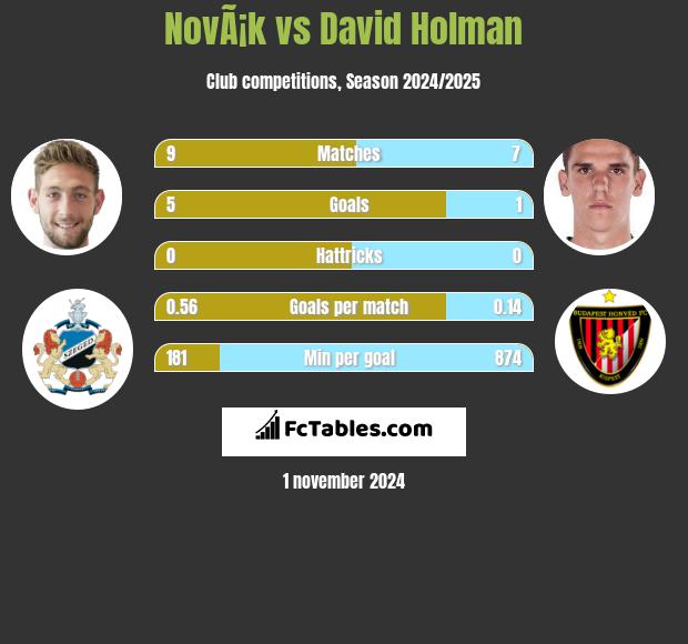 NovÃ¡k vs David Holman h2h player stats