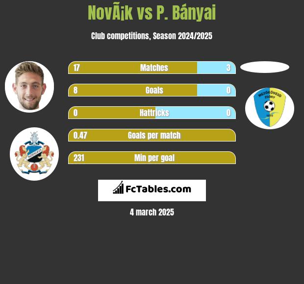 NovÃ¡k vs P. Bányai h2h player stats