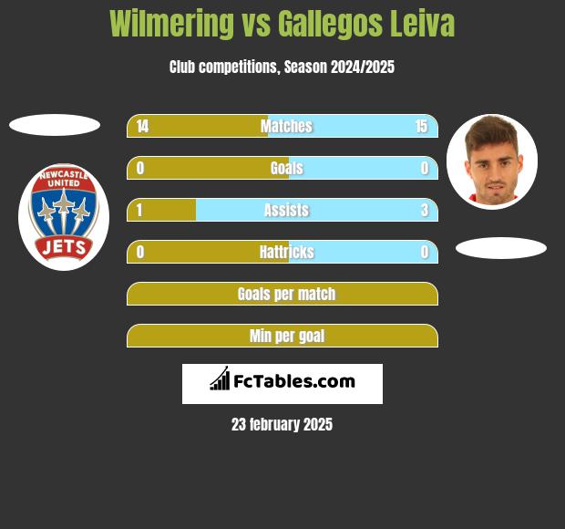 Wilmering vs Gallegos Leiva h2h player stats